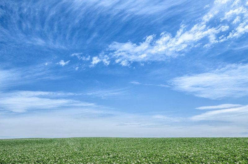 青空と草原の写真